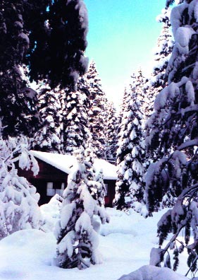 snow scene